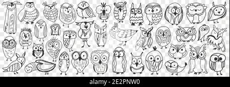 Various owls birds doodle set. Collection of hand drawn cute owls night birds of various shapes and sizes showing faces isolated on transparent background. Illustration of bird type for kids Stock Vector