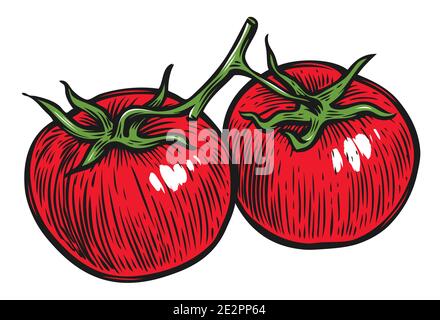 Two tomatoes on a branch. Vegetables vector illustration Stock Vector