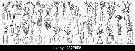 Flowers in pots doodle set. Collection of hand drawn various plants in pots for home growing isolated on transparent background. Illustration of home hobby as houseplants  Stock Vector