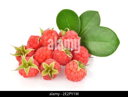 Raspberry and green leaf isolated on white background Stock Photo