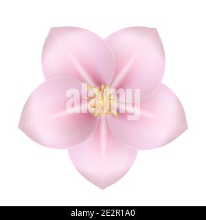 Realistic beautiful 3d sprind and summer pink flower icon. Vector Illustration. Stock Vector