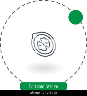 walnut vector icon editable stroke outline icons for web and mobile Stock Vector