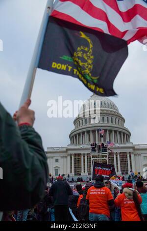 January 6, 2021. Large Crowds of Protesters at Capitol Hill with Donald Trump 2020 and Don't Tread on Me flags. US Capitol Building, Washington DC.USA Stock Photo