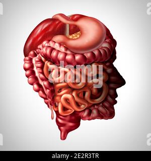 Psychology of digestion and human digestive gut brain connection concept as a liver pancreas with a stomach and large intestine and small intestines. Stock Photo
