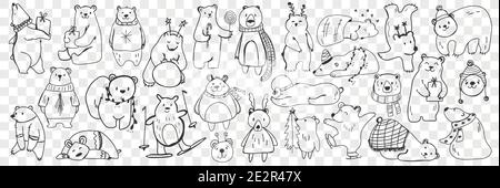 Polar and teddy bear doodle set. Collection of hand drawn funny bears in scarves and accessories doing sport, sleeping, enjoying life isolated on transparent background. Illustration of bear for kids Stock Vector