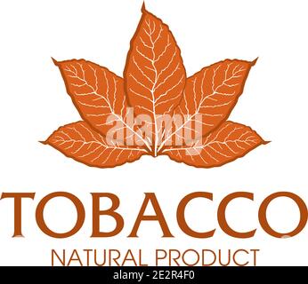 news on tobacco Smoking isn't just bad for your health… it can also take a toll on your finances. Click the link in our bio to learn more