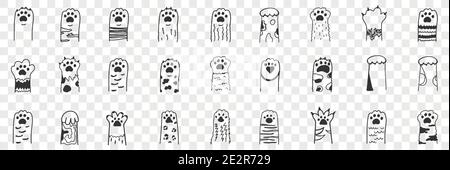 Animal paws doodle set. Collection of hand drawn funny cute animal paws with claws with various animal collars and patterns in rows isolated on transparent background. Illustration of paws for kids Stock Vector