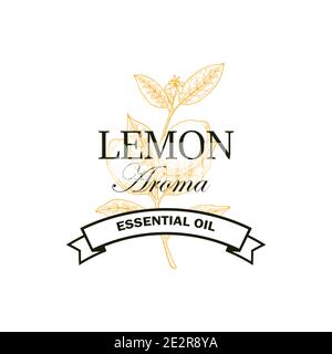 Lemon essential oil logo with hand drawn element isolated on white background. Vector illustration in vintage style Stock Vector