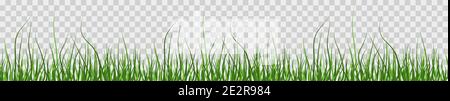 Multicolor green grass. Seamless pattern from left to right. Horizontal on transparent background. Vector Illustration Stock Vector
