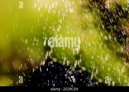 art, abstract spring background. green defocus bokeh background. Drops dew or rain. Design element.drops of flying rain.Isolate on black. Stock Photo