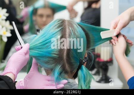 Two hairdressers combing customers hair before hair dyeing process. Back view of woman head with emerald hair color and regrown hair roots Stock Photo