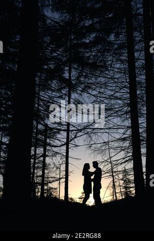 Silhouette of pair of lovers looking at each other under large pine trees at sunset. Orange gradient sunset. Romantic evening in the forest Stock Photo