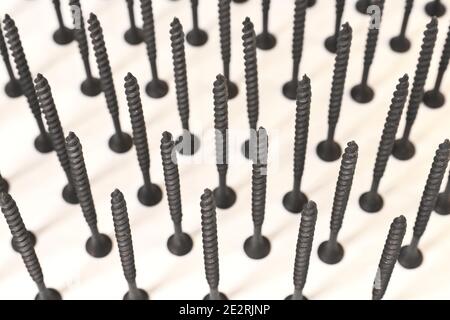 Self-tapping screws for wood surfaces, standing on hats, on a light background. Components for construction and repair. Metal fasteners. Stock Photo