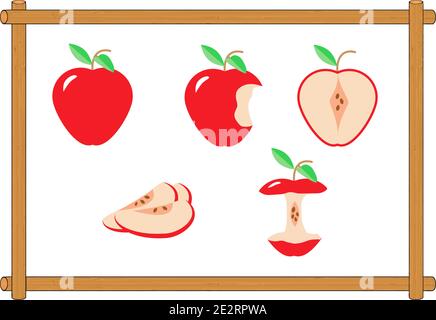 Apples. Set of red, whole, bitten, half, and sliced fruit with leaf and stem. Vector illustration. Wooden log border. Stock Vector