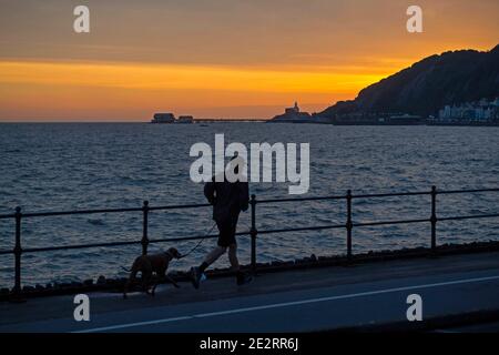 Swansea, UK. 15th Jan, 2021. A man runs with his dog along the seafront in the village of Mumbles near Swansea on a chilly morning as the sun starts to come up. Credit: Phil Rees/Alamy Live News Stock Photo