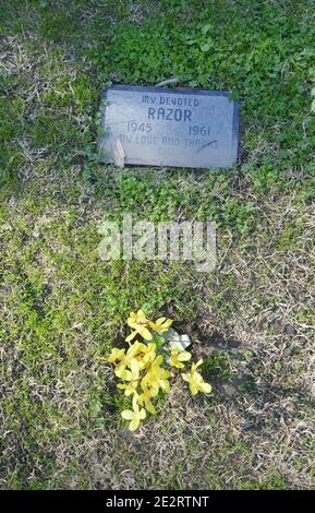 Calabasas, California, USA 14th January 2021 A general view of atmosphere of Pet Grave 'Razor' at Los Angeles Pet Memorial Park on January 14, 2021 at 5068 Old Scandia Lane in Calabasas, California, USA. Photo by Barry King/Alamy Stock Photo Stock Photo