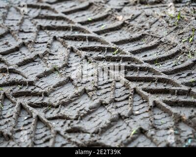 Car tire tracks on wet muddy road. Stock Photo