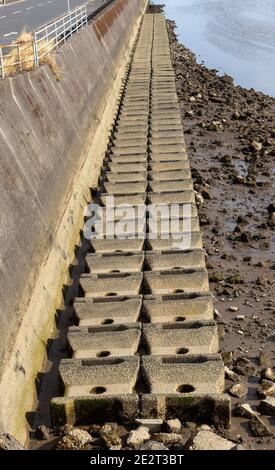 Row of concrete wave breakers on a riverbed, visible due to low tide. Stock Photo