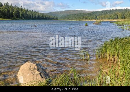 Virgin Komi forests. UNESCO World Heritage Site, Yugyd Va National Park, summer landscape, Shchugor river. Stock Photo