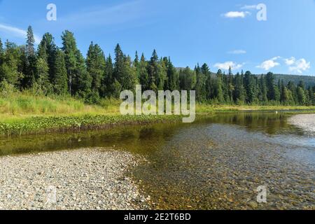 Virgin Komi forests. UNESCO World Heritage Site, Yugyd Va National Park, summer landscape, Shchugor river. Stock Photo