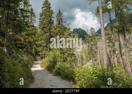 Rocky hiking path in Studena dolina, High Tatras national park, Slovakia, Europe, cloudy sky. Stock Photo