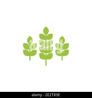 Three ears of wheat, barley or rye. Green icon Icon isolated on white. Logo for eco company, agriculture, nature firm, ecology, healthy organic and fa Stock Vector