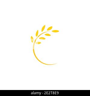 Round frame with ears of wheat or barley or rye. Vector illustration isolated on white. Autumn color. Stock Vector