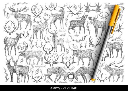 Forest wild deers doodle set. Collection of hand drawn deers with horns living in wild nature playing fighting isolated on transparent background. Illustration of animals for kids Stock Vector