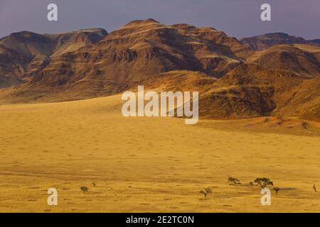 Sossus Vlei Sesriem Desierto Namib Namibia Africa Stock Photo