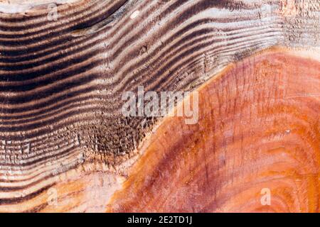Holzmaserung leicht Flambiert Stock Photo