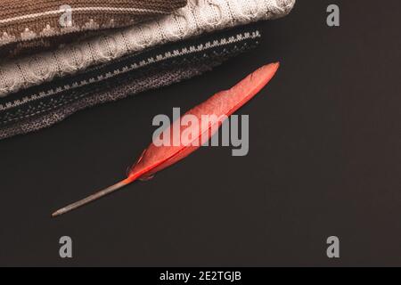 Red decorative feather on black background with copy space, vintage style. High quality photo Stock Photo