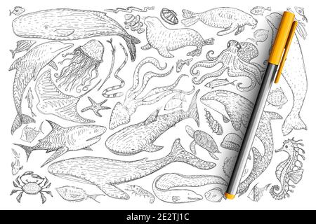 Underwater world animals doodle set. Collection of hand drawn dolphins, crabs, octopus, fur seal, fishes, jellyfish, starfish sea horse isolated on transparent background. Illustration of sea world Stock Vector
