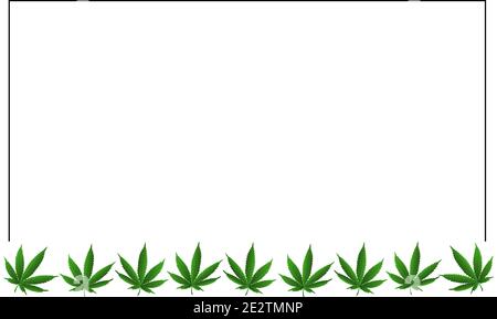 Blank for designers with copy spice with marijuana leaves on a white background. Vector illustration. Stock Vector