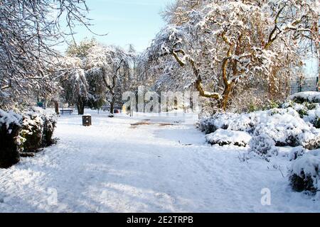 Morley Leeds West Yorkshire 15th January 2021 after yesterday's heavy snowfall in Leeds the sun came out and turned Morley in to a spectacular winter wonderland, this image is of Dartmouth park in Morley. Credit: Drew Gardner/Alamy Live News Stock Photo