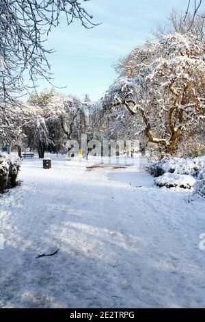 Morley Leeds West Yorkshire 15th January 2021 after yesterday's heavy snowfall in Leeds the sun came out and turned Morley in to a spectacular winter wonderland, this image is of Dartmouth park in Morley. Credit: Drew Gardner/Alamy Live News Stock Photo