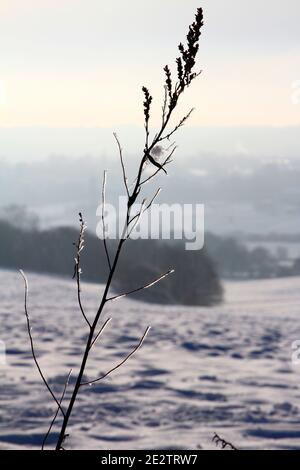 Morley Leeds West Yorkshire 15th January 2021 after yesterday's heavy snowfall in Leeds the sun came out and turned Morley in to a spectacular winter wonderland, Credit: Drew Gardner/Alamy Live News Stock Photo