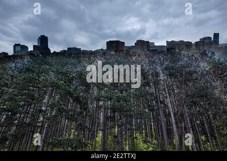 A conceptual image of trees and concerete buildings under blue sky Stock Photo