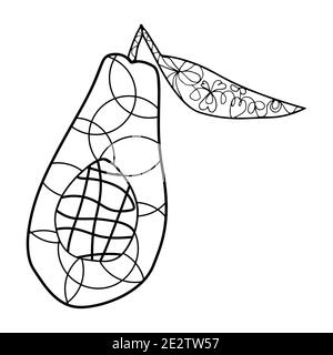 an avocado cut in half with doodle ornaments on a white background coloring page Stock Vector