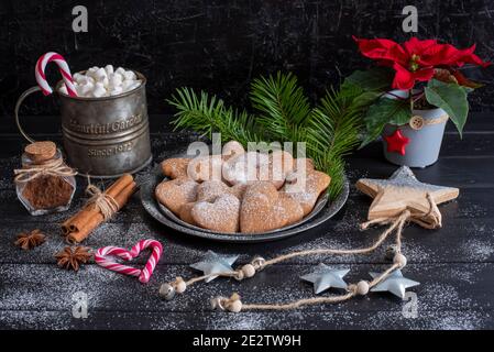 Christmas Photography with Gingerbread, Christmas flower, Mug with marshmallows Stock Photo