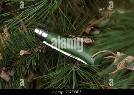 Folding French knife. Knife lying on the tree. Top. Stock Photo