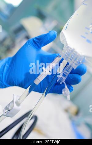 Doctor checks up the intravenous drip system. Stock Photo