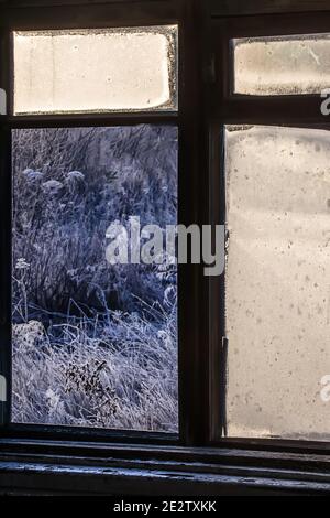 A picture of winter dry grass behind the smashed frosty window of an abandoned house. The concept of a past stopped life, desolation and squalor Stock Photo