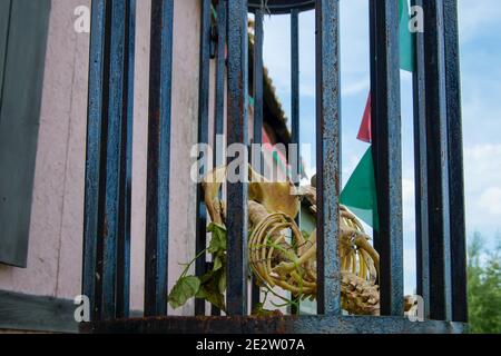 A dummy of the skeleton of a wild animal in a metal cage Stock Photo