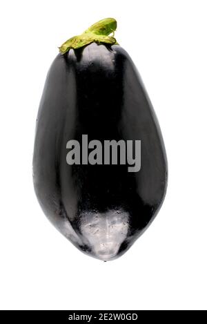 Eggplant or aubergine vegetable isolated on white background Stock Photo
