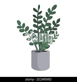 Potted Zamioculcas or zz plant vector illustartion. Houseplant isolated on white background. Home decoration design element Stock Vector