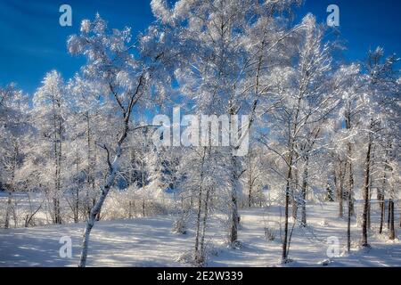 DE - BAVARIA: Sunny winter scene near Bad Toelz in the Isar Valley Stock Photo