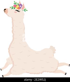 cute alpaca exotic with flowers decoration in head Stock Vector