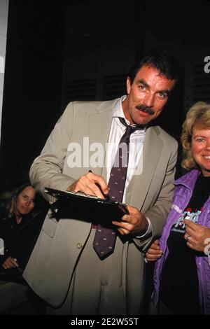Tom Selleck 1987 Credit: Ralph Dominguez/MediaPunch Stock Photo - Alamy