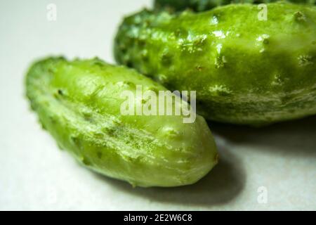 Two green ground cucumbers on a white background, closeup Stock Photo