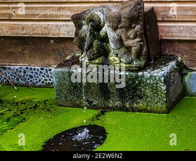 A moss-covered stone sculpture featuring several seated figures has water dripping over its plinth – presumably in the garden of the Mount Cinnamon boutique resort near Calliste, Grenada. The pond below is completely covered with duckweed. A hummingbird is drinking from the fountain. Stock Photo